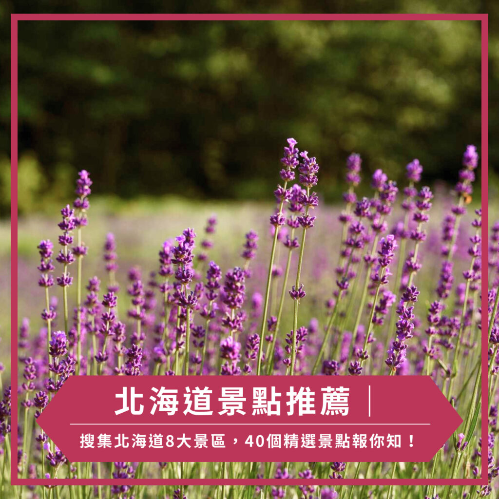 北海道景點推薦|搜集北海道8大景區,40個精選景點報你知!